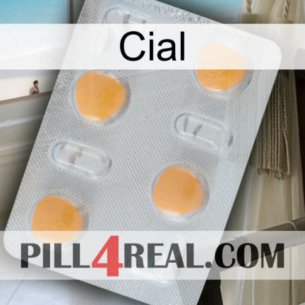 Cial 24